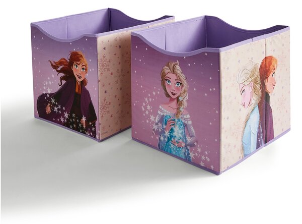 Set of 2 Frozen Storage Cubes