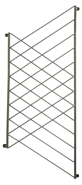 Outdoor Linear Trellis