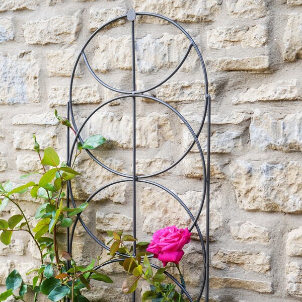 Outdoor Cylinder Trellis