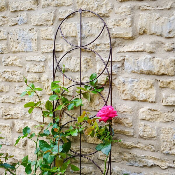 Outdoor Cylinder Trellis