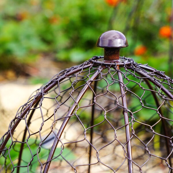 Outdoor Wire Netted Plant Protector