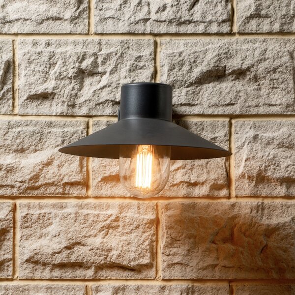 Carina Outdoor Wall Light