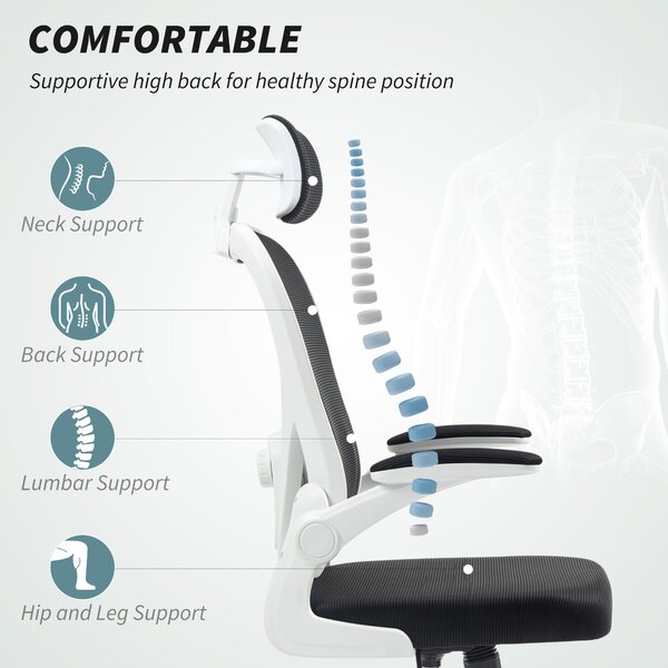 HOMCOM Executive Office Chair, Ergonomic Mesh Desk Chair with High Back, Rotatable Headrest, Adjustable Lumbar Support for Home Study, Black Aosom UK