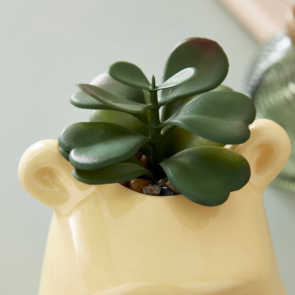 Artificial Plant Succulent in Disney Winnie the Pooh Plant Pot