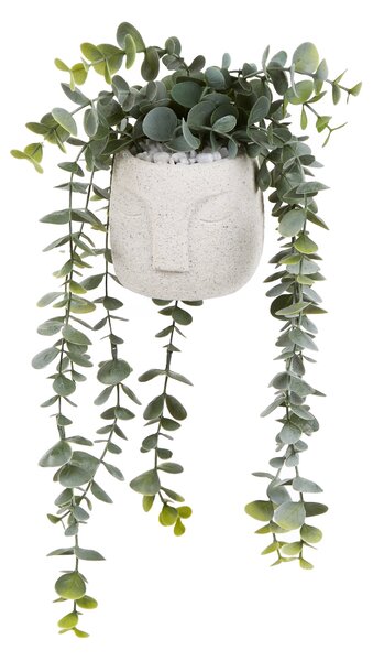 Artificial Trailing Eucalyptus in Face Plant Pot