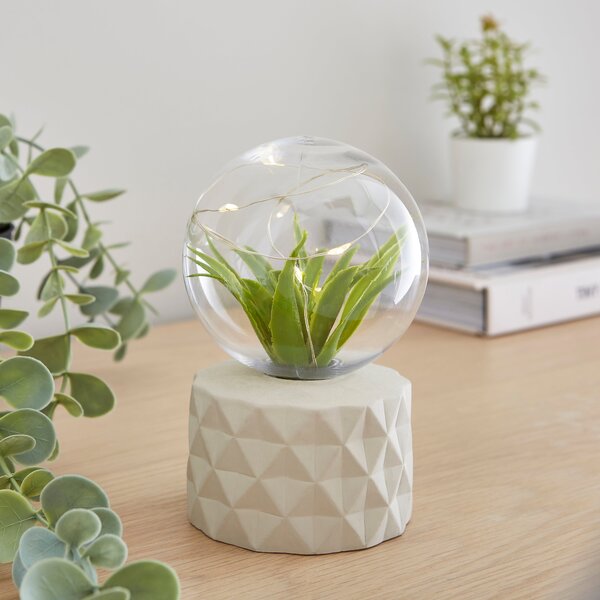 Faux Terrarium Geometric Battery Table Lamp