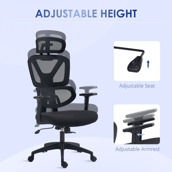 Vinsetto Ergonomic Office Chair, Mesh, Height Adjustable, Lumbar Support, w/ Swivel Casters & Headrest, Ebony Black Aosom UK