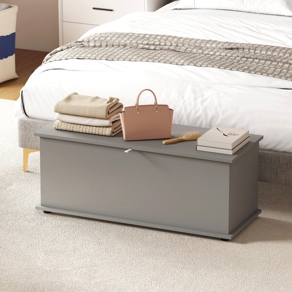 HOMCOM 113L Storage Chest, Storage Box with Flip-Top Lid and 2 Safety Hinges, Storage Trunk for Living Room, Entryway, 100 x 40 x 40 cm, Grey