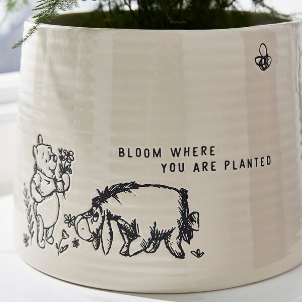 Disney Winnie the Pooh Debossed Plant Pot