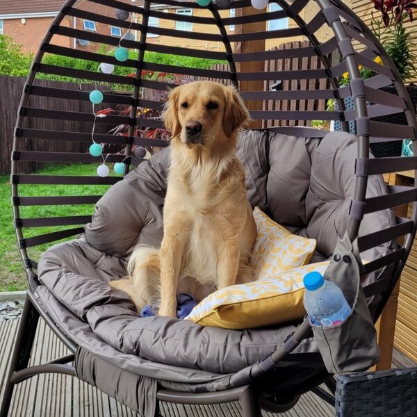 Outsunny 2 Seater Egg Chair with Soft Cushion, Steel Frame and Side Pocket, Garden Patio Basket Chair for Indoor, Outdoor, Brown Aosom UK