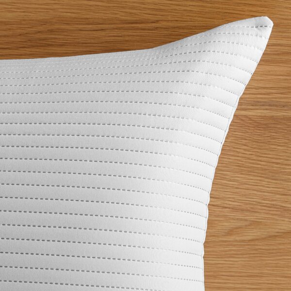 Spencer Pinsonic Pillowsham