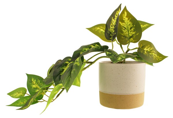 Artificial Trailing Devil's Ivy in White Ceramic Plant Pot