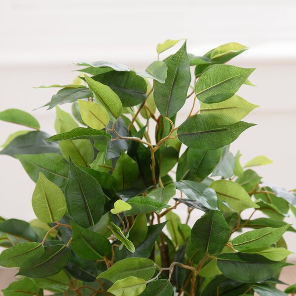 Artificial Ficus Tree in Black Plant Pot