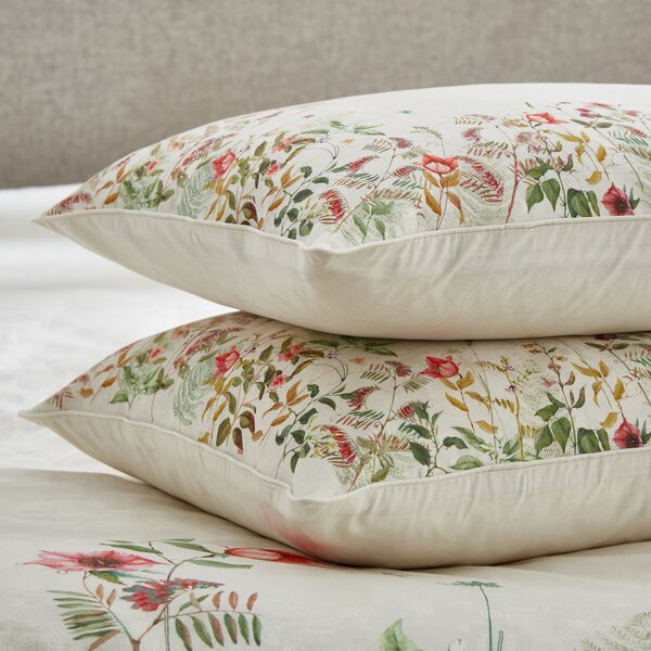 Dorma Rambling Rose Cream Standard Pillowcase Pair