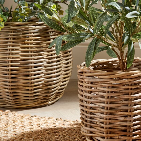 Churchgate Set of 2 Rattan Planters