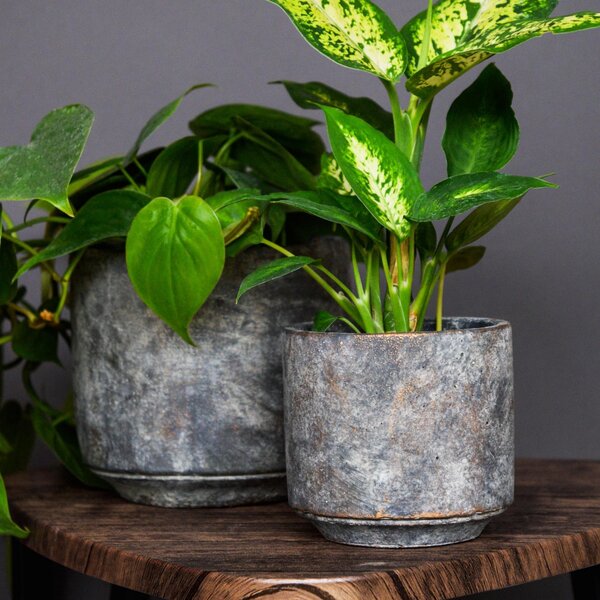 Tivoli Earth Plant Pot