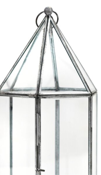 Glass House Terrarium