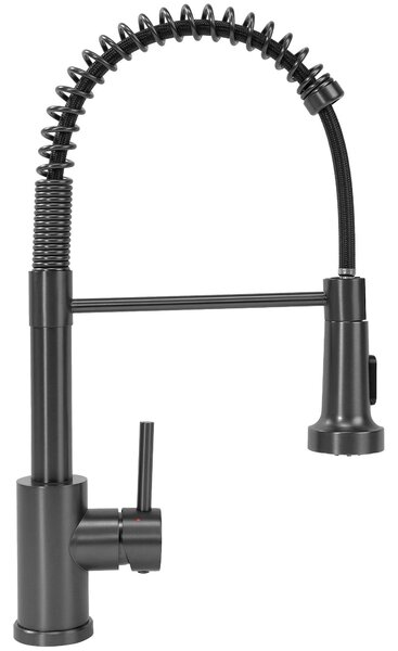 Kitchen faucet REA Colin Titan