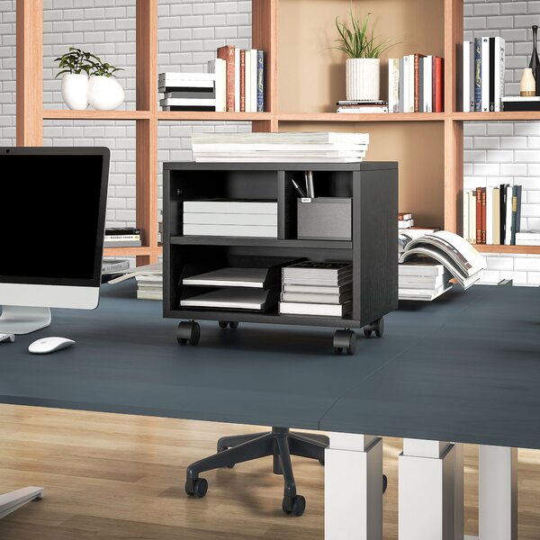 HOMCOM 2-Tier Printer Stand with Storage, Under Desk Printer Cart on Wheels with 3 Compartments, Desktop Printer Table for Office, Black Aosom UK
