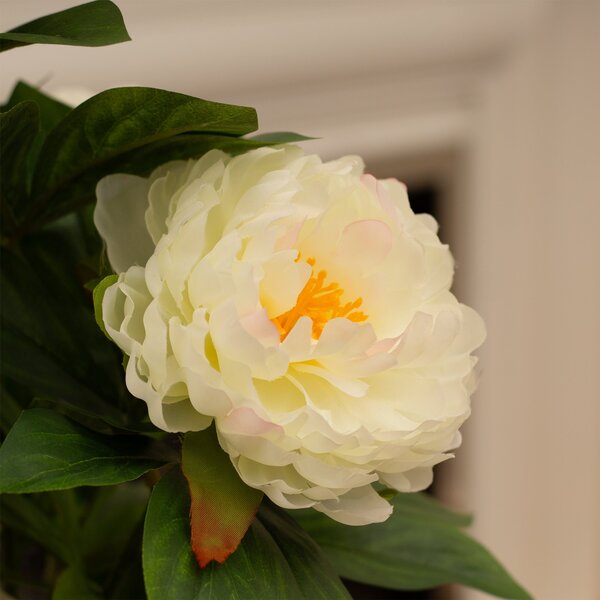 Artificial Cream Peony Plant in Black Plant Pot