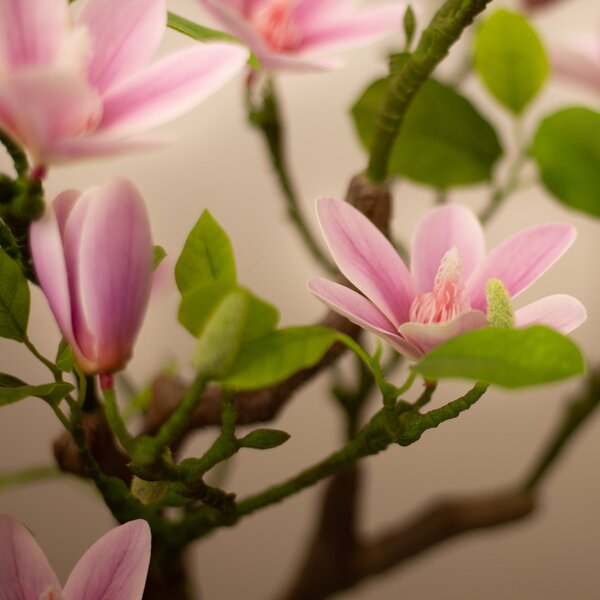 Artificial Pink Magnolia Tree in Black Plant Pot