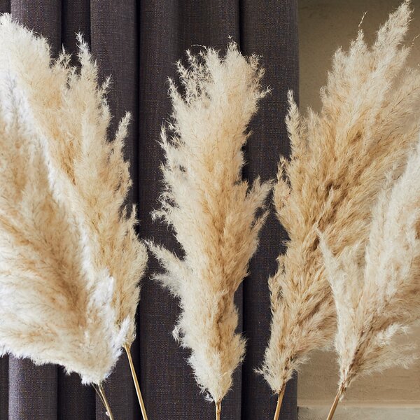 Dried Large Pampas Bouquet