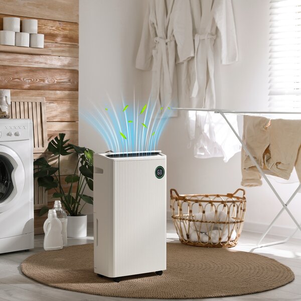 HOMCOM 5500mL Quiet Compact Dehumidifier with Air Purifier, 24H Timer, 5 Modes, 16L/Day, Electric Moisture Air Dryer for Home Laundry Basement, White Aosom UK