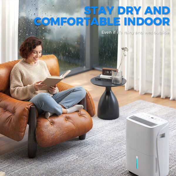 HOMCOM 30L/Day Quiet Dehumidifier w/ Auto-Clean Filter, 4L Water Tank, 24H Timer, Portable Air Dryer for Home Laundry Room Bedroom Basement, White Aosom UK