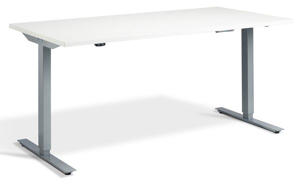 Calgary Dual Motor Height Adjustable Desk, 120wx70dx70-120h (cm), Silver/White