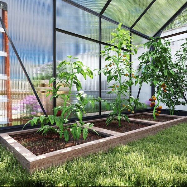 Outsunny Clear Polycarbonate Greenhouse Large Walk-In Green House Garden Plants Grow Galvanized Base Aluminium Frame with Slide Door, 6 x 8ft