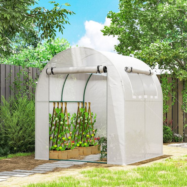 Outsunny Walk in Polytunnel Greenhouse, Green House for Garden with Roll-up Window and Door, 1.8 x 1.8 x 2 m, White Aosom UK
