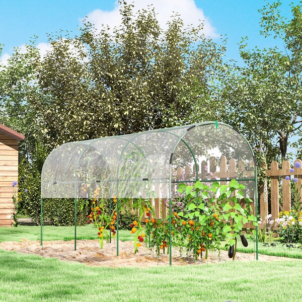 Outsunny Tunnel Tomato Greenhouse with 4 Hoops and Top Tap, Pointed Bottom and Guy Ropes, Clear Aosom UK