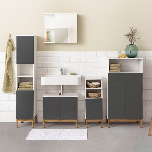 Odell Single Door Bathroom Cabinet