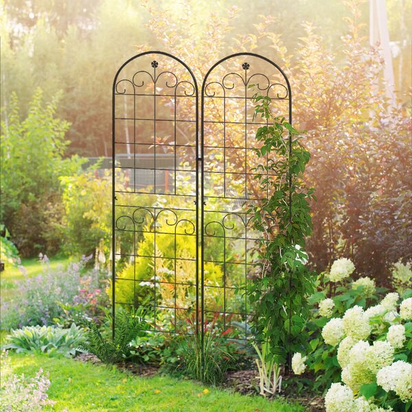 Outsunny Metal Trellis Set of 2, Garden Trellis for Climbing Plants Support Frames, Floral Design Aosom UK