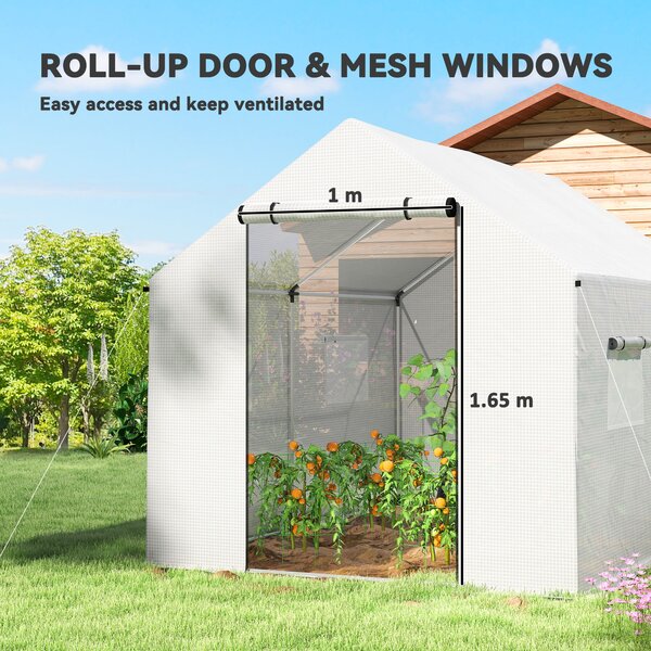 Outsunny Poly Tunnel Greenhouse Walk-in Polytunnel Greenhouse, Shelter for Plants, Pointed roof, 2 x 2 x 3m, White Aosom UK