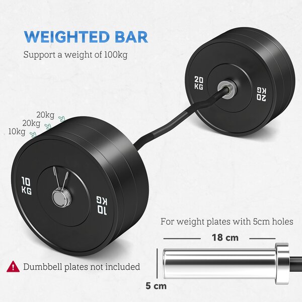 SPORTNOW Olympic EZ Curl Bar, Barbell Bar for 2"/5cm Weight Plates with Spring Clips, Home Gym Weight Lifting Bar, 120cm