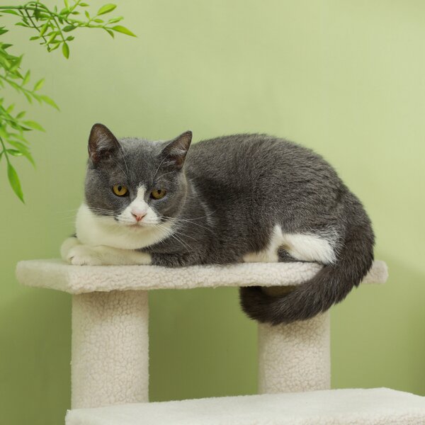 Durable Pet Stairs Ramp, Easy Climb Cat Tree Ladder, Indoor Climbing Frame Staircase for Pets Aosom UK