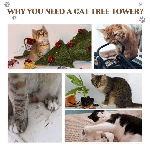 PawHut Cat Scratching Post, Indoor Activity Centre, Kitten Climber with Scratcher, Hanging Ball, Brown Aosom UK
