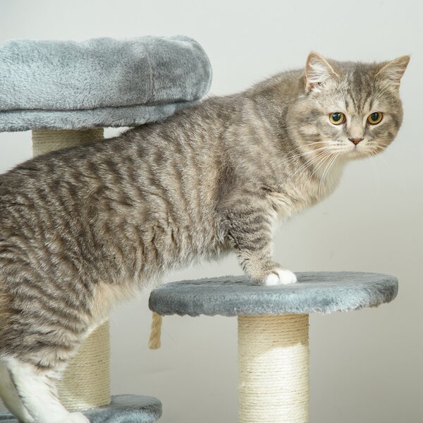 PawHut Cat Tree 65 cm, Kitty Scratcher, Kitten Activity Centre with 2 Perches & Hanging Sisal Rope, Grey Aosom UK