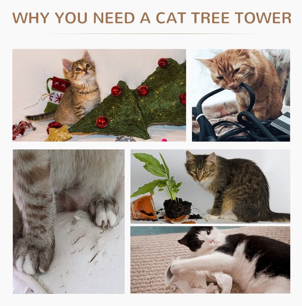 PawHut Cat Tree 65 cm, Kitty Scratcher, Kitten Activity Centre with 2 Perches & Hanging Sisal Rope, Grey Aosom UK