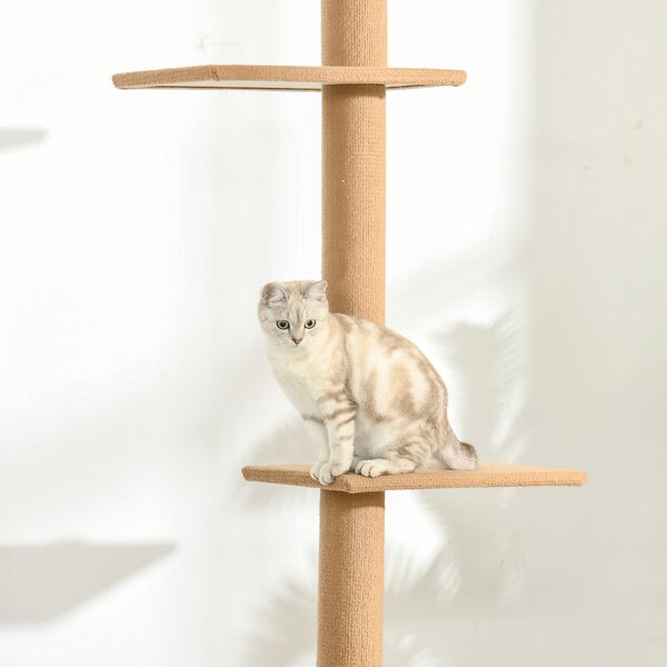 PawHut Floor to Ceiling Cat Tree, 260cm Tall with 3 Perches and Flannel Upholstery, Activity & Rest Tower, Brown Aosom UK