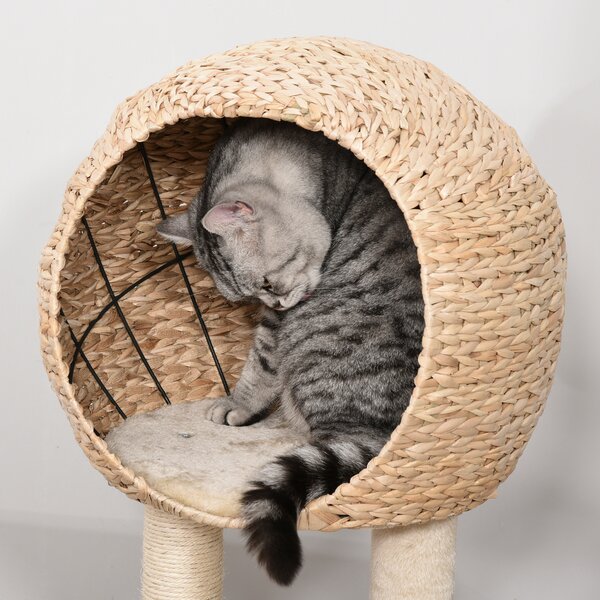 PawHut Cat tree Cat Tower 100cm Climbing Activity Center with Sisal Scratching Post Condo Perch Hanging Balls Teasing Rope Toy Cushion Aosom UK