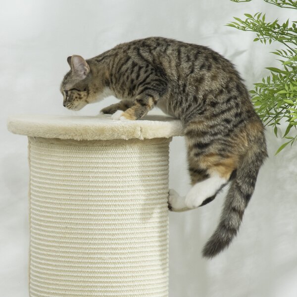 PawHut Cat Scratching Post: 85cm Tall with Sisal Rope, Soft Plush Cover, Anti-Tip Design for Indoor Use, Beige Aosom UK