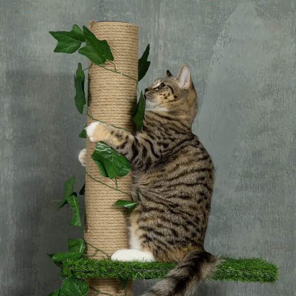 PawHut Floor to Ceiling Cat Tree, 242cm Height Adjustable Kitten Tower, Anti-slip Kit, Highly Simulated Multi-Layer Activity Centre, Green Aosom UK