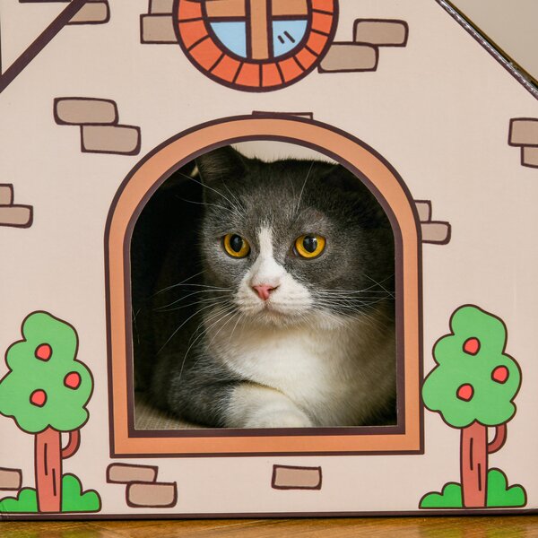 PawHut Two-In-One Cat House, Cat Scratching Board with Scratcher, Catnip, Cat Cardboard Scratcher for Indoor Cats Aosom UK
