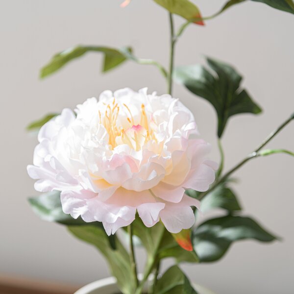 Artificial Peony in White Ceramic Plant Pot