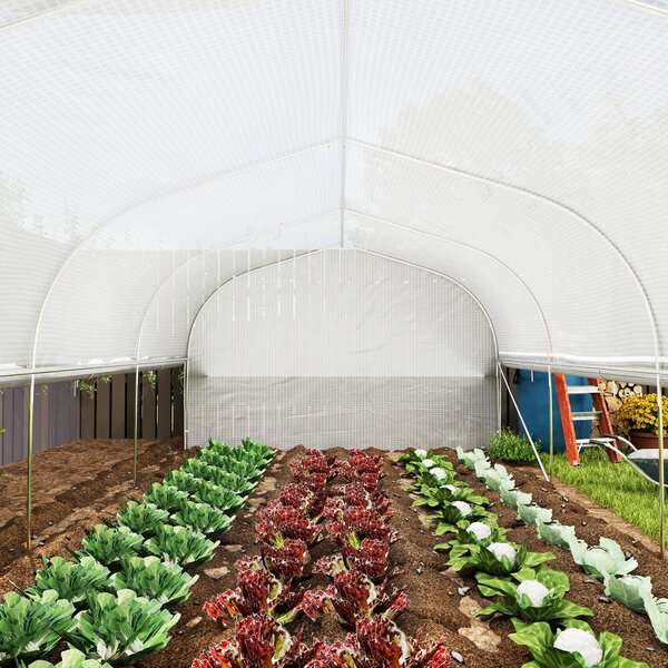Outsunny Heavy Duty Polytunnel with Sidewalls, Door and 8 Windows, Complimentary Plant Labels and Gloves, White, 6 x 3 x 2m Aosom UK
