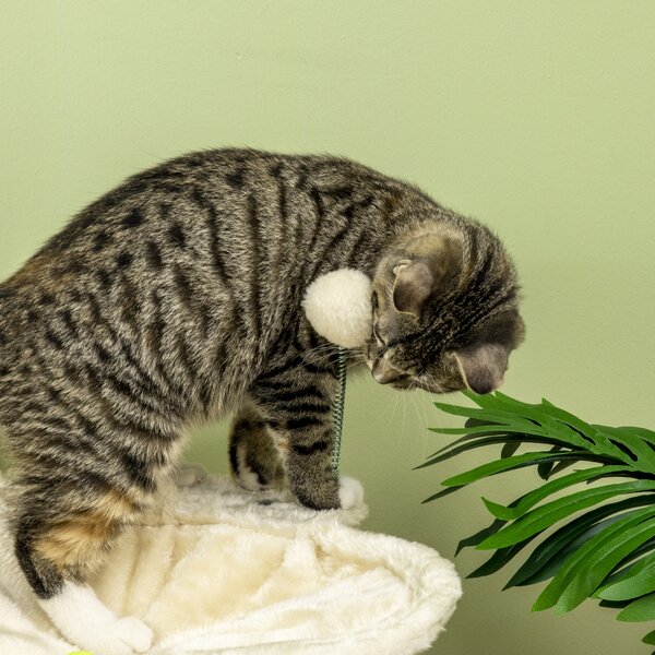 PawHut Cat Tree Indoor Kitten Play Tower, Sisal Scratching Posts with Hammock & Ball Toy, 53.5x53.5x90 cm, Beige Aosom UK