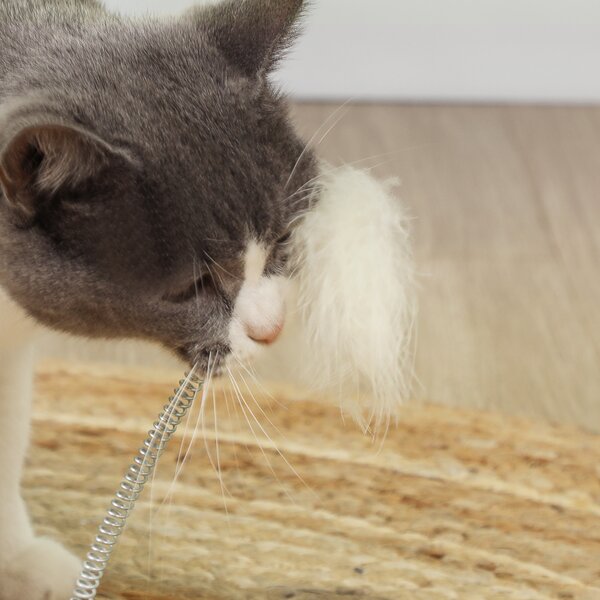 PawHut Scratching Post, 5 in 1 Cat Post with Sisal Post, Track Ball Toy, Self Grooming Brush, Hanging Toy Ball, Feather, Oak Aosom UK