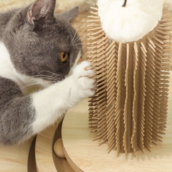PawHut Scratching Post, 5 in 1 Cat Post with Sisal Post, Track Ball Toy, Self Grooming Brush, Hanging Toy Ball, Feather, Oak Aosom UK